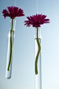 Bollywood Wedding in ECC with pink and orange Gerberas