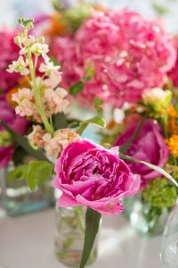 Vibrant Colors in Cotton Beach Club