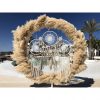 Big-Pampas-Circle