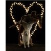 Heart-with-fairylight