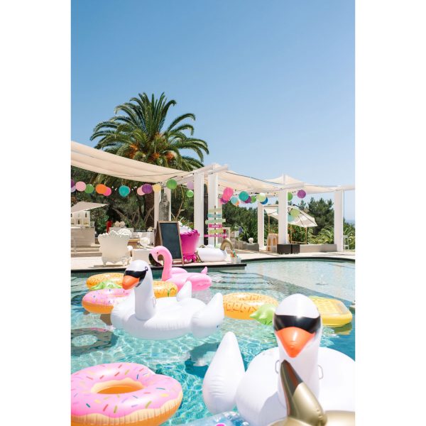 Inflated-Pool-animals