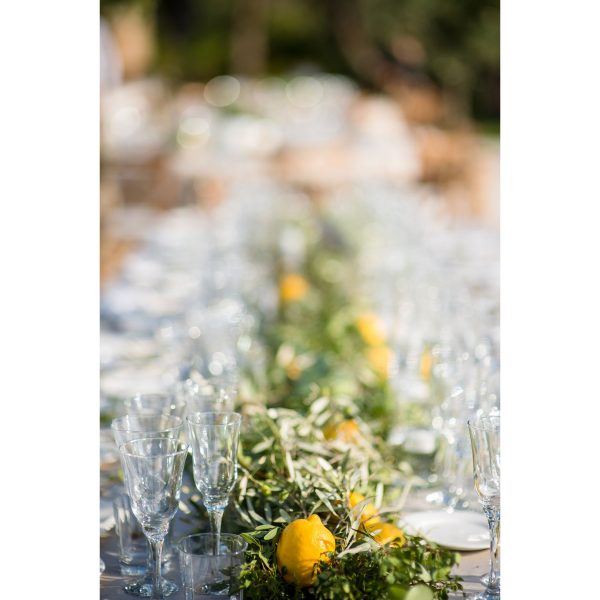 LongTables8GuestsmodelR