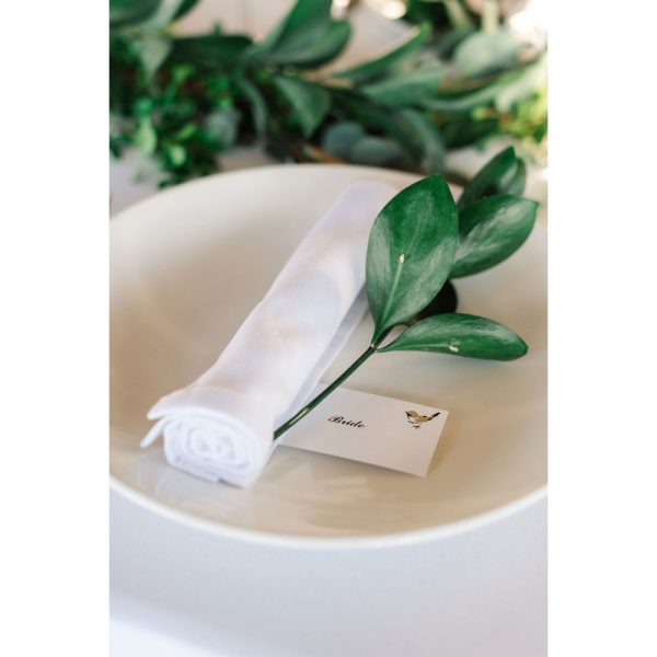 Ruscus