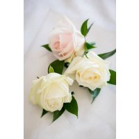 image102