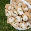 Each Petal cone with dried Petals