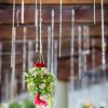 Geometric structures with flowers  b