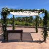 Organic Organic