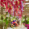 Hanging Flowers