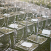 Transparent Ghost Chairs