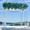 Transparent tropical Transparent tropical
