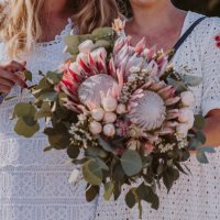 King Protea