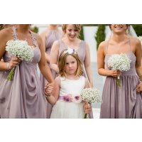 Babys’ breath