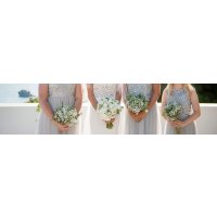 Babys’ breath and Olive