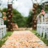Petal scattering