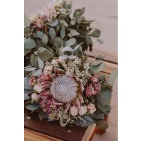 Protea
