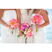 3 Coral sunset Peonies